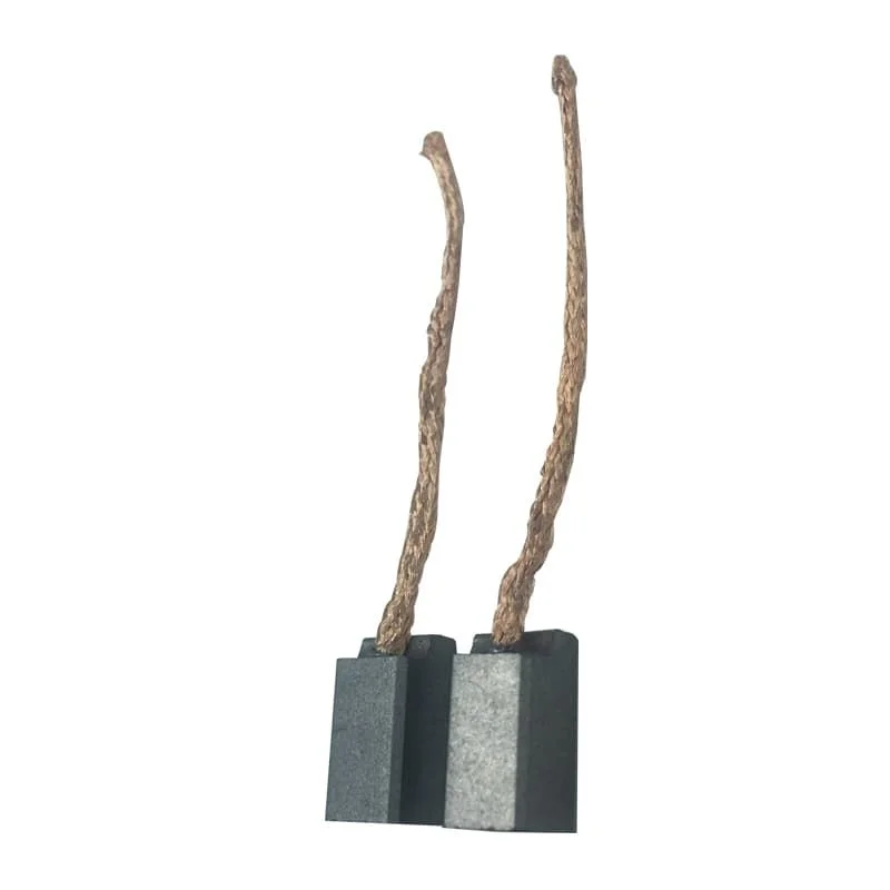 Jeu 2 charbons moteur basse tension H5 6